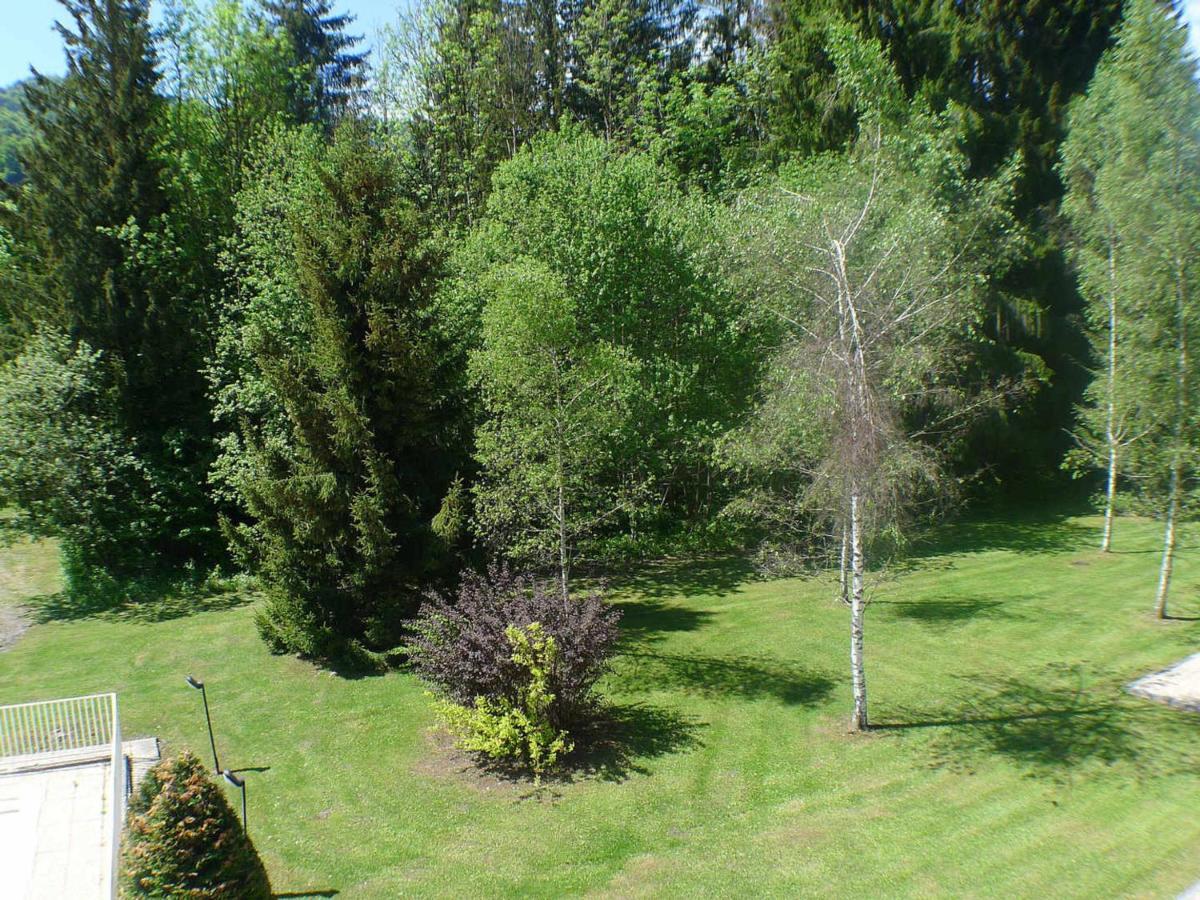 Appartement Cosy Avec Piscines, Parking Et Wifi A Samoens - Fr-1-629-32 Exterior foto